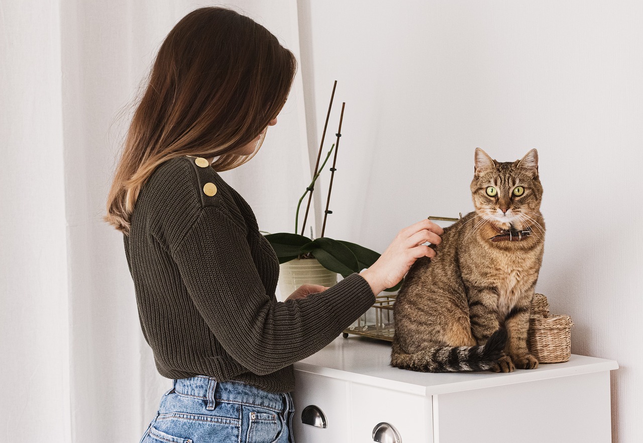 Bathing and Brushing  Services